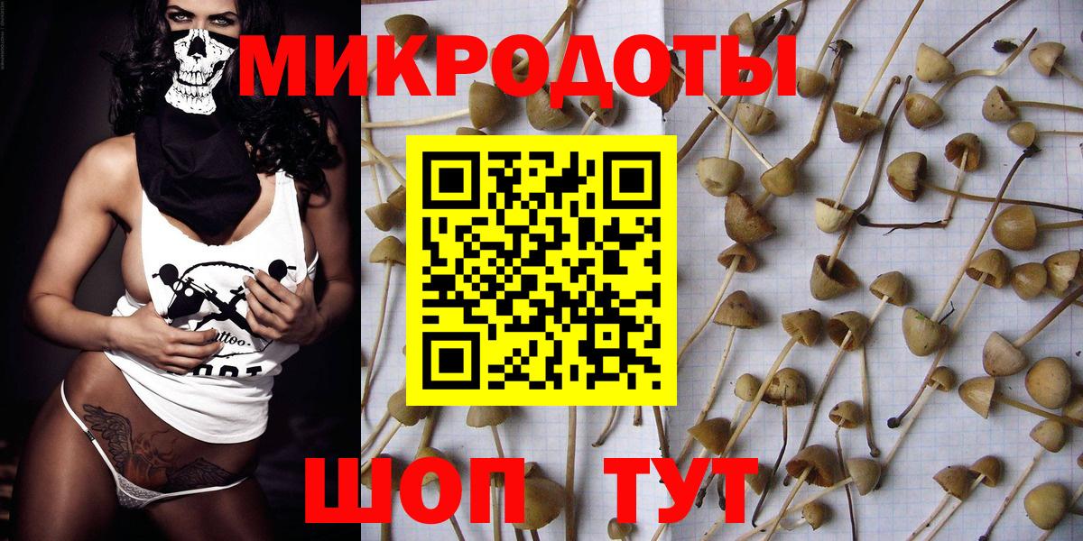 цены наркотик  Галлюциногенные грибы Magic Shrooms  Вход с VPN  Псилоцибиновые грибы Magic Shrooms  Новодвинск 