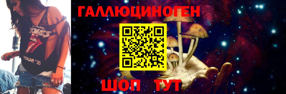 Псилоцибиновые грибы Psilocybine cubensis Новодвинск